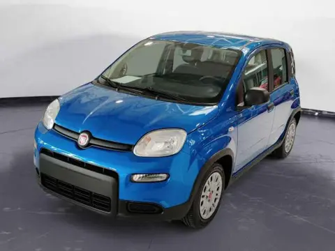 Used FIAT PANDA Hybrid 2024 Ad 