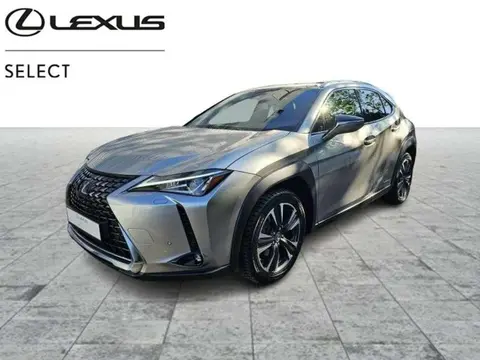 Used LEXUS UX Hybrid 2020 Ad Belgium