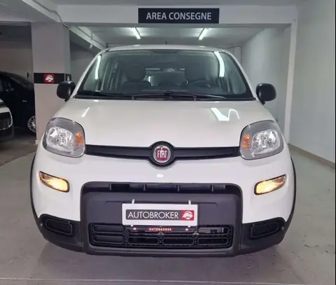 Annonce FIAT PANDA Hybride 2024 d'occasion 