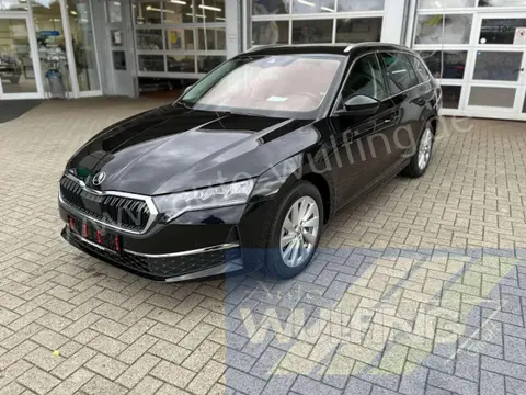 Annonce SKODA OCTAVIA Diesel 2024 d'occasion 