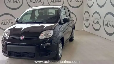 Used FIAT PANDA LPG 2024 Ad 