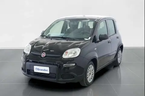 Annonce FIAT PANDA Hybride 2024 d'occasion 