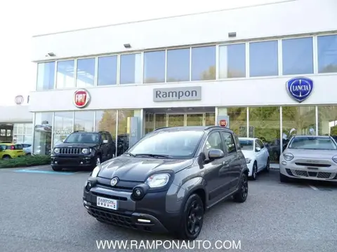 Used FIAT PANDA Hybrid 2022 Ad 