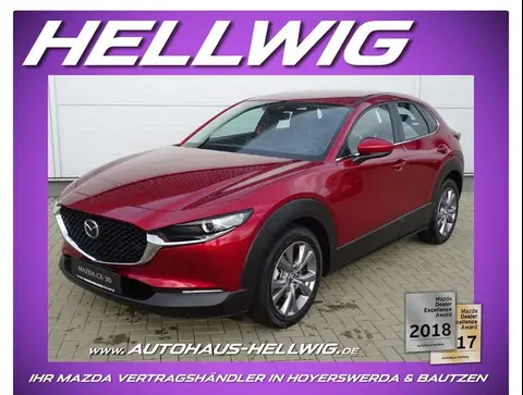 Used MAZDA CX-30 Petrol 2024 Ad 