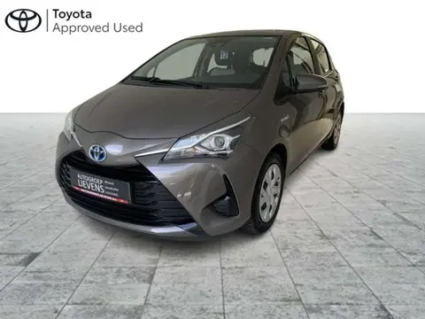 Used TOYOTA YARIS Hybrid 2019 Ad 