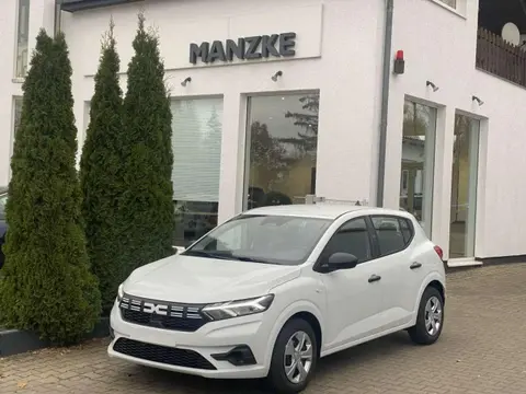 Used DACIA SANDERO Petrol 2024 Ad 