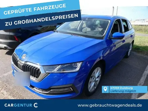 Annonce SKODA OCTAVIA Diesel 2021 d'occasion 