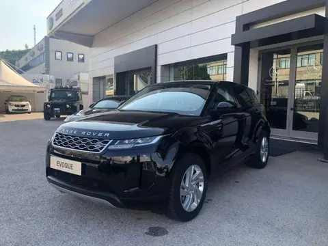 Used LAND ROVER RANGE ROVER EVOQUE Hybrid 2020 Ad 