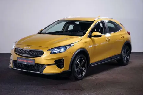 Annonce KIA XCEED Hybride 2022 d'occasion 