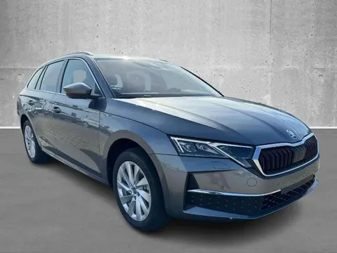 Annonce SKODA OCTAVIA Diesel 2024 d'occasion 