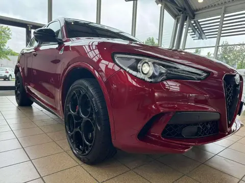 Annonce ALFA ROMEO STELVIO Essence 2022 d'occasion 