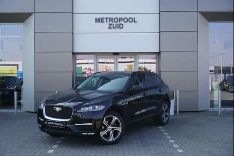 Used JAGUAR F-PACE Petrol 2019 Ad 