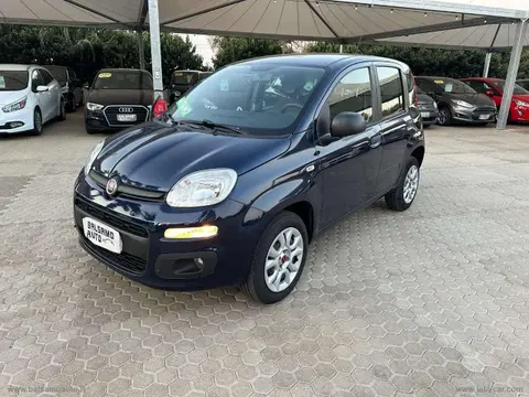 Used FIAT PANDA  2018 Ad 