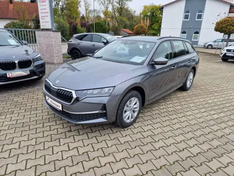 Used SKODA OCTAVIA Petrol 2024 Ad 