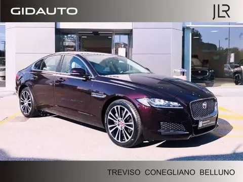 Used JAGUAR XF Diesel 2021 Ad 