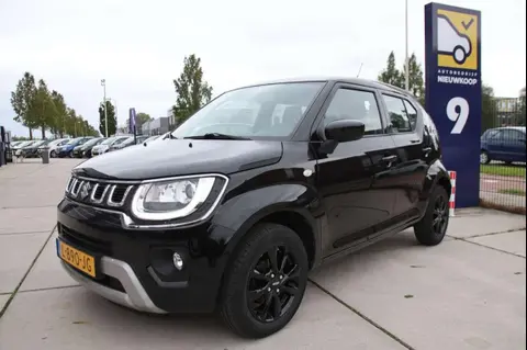 Used SUZUKI IGNIS Hybrid 2021 Ad 