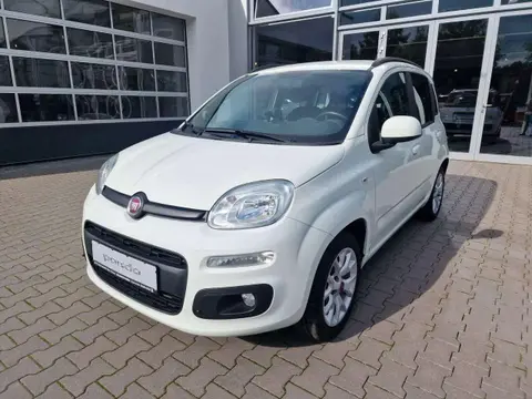 Annonce FIAT PANDA Essence 2017 d'occasion 