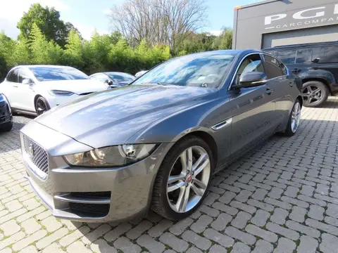 Annonce JAGUAR XE Diesel 2015 d'occasion 