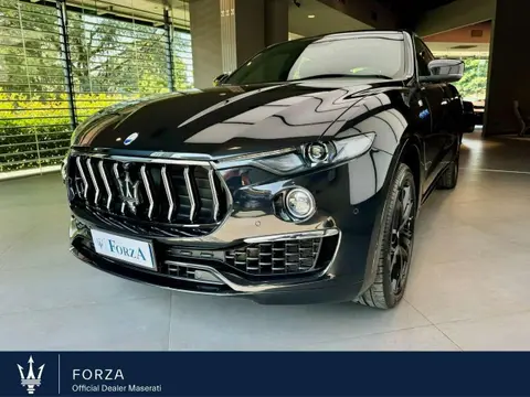 Used MASERATI LEVANTE Hybrid 2022 Ad 