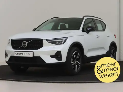 Annonce VOLVO XC40 Hybride 2023 d'occasion 