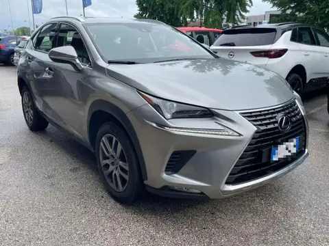 Annonce LEXUS NX Hybride 2021 d'occasion 