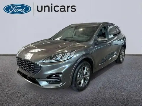 Annonce FORD KUGA Non renseigné 2024 d'occasion 