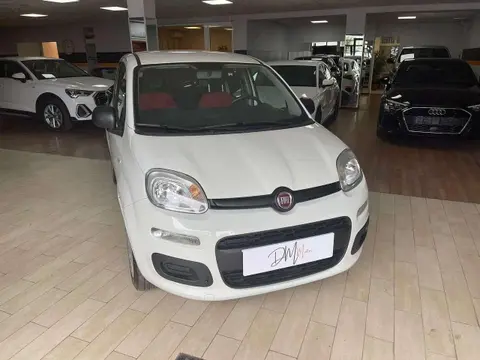 Annonce FIAT PANDA Essence 2019 d'occasion 