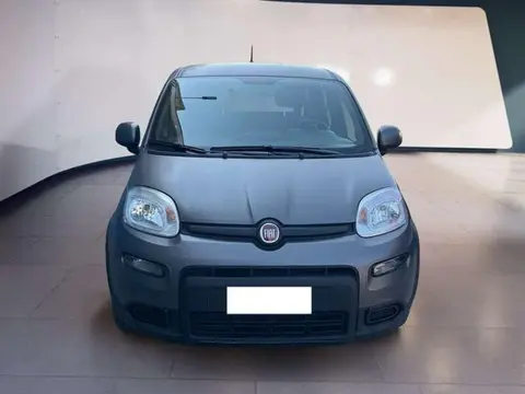 Used FIAT PANDA Hybrid 2021 Ad 