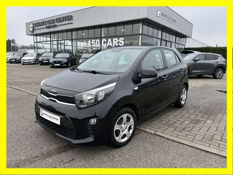 Annonce KIA PICANTO Essence 2019 d'occasion 