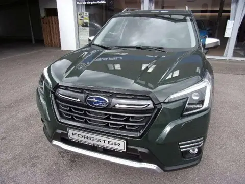 Annonce SUBARU FORESTER Hybride 2024 d'occasion 