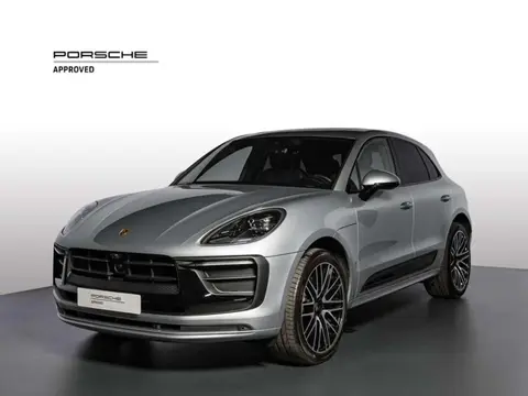 Used PORSCHE MACAN Petrol 2023 Ad 