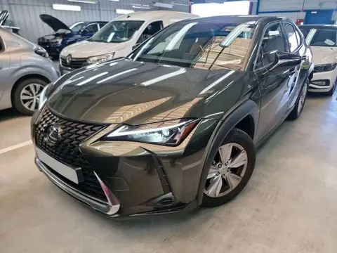 Used LEXUS UX Hybrid 2024 Ad 