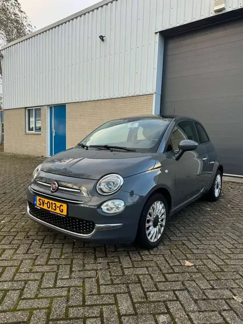 Used FIAT 500 Petrol 2017 Ad 