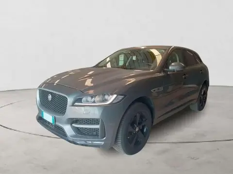 Used JAGUAR F-PACE Diesel 2016 Ad 