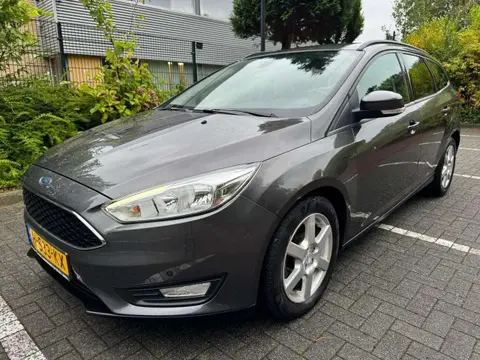 Used FORD FOCUS Petrol 2014 Ad 