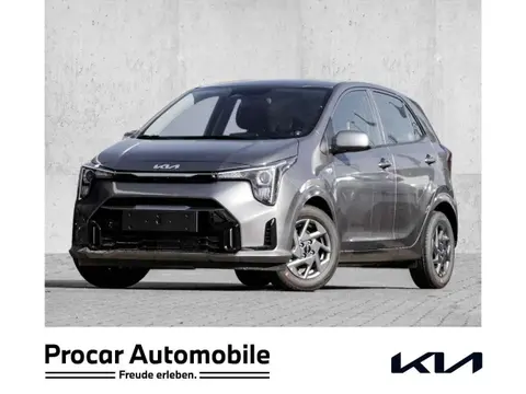 Used KIA PICANTO Petrol 2024 Ad 