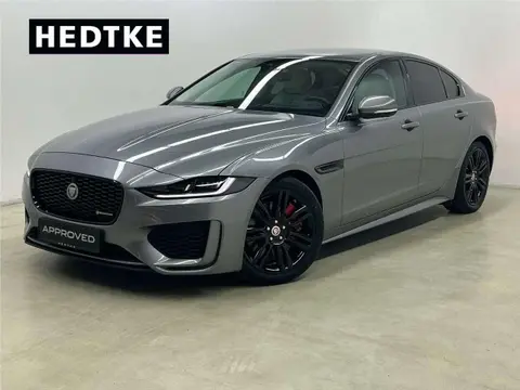 Used JAGUAR XE Diesel 2019 Ad 