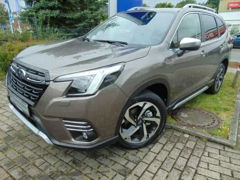 Used SUBARU FORESTER Petrol 2024 Ad 