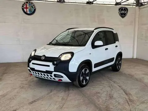 Annonce FIAT PANDA Hybride 2024 d'occasion 