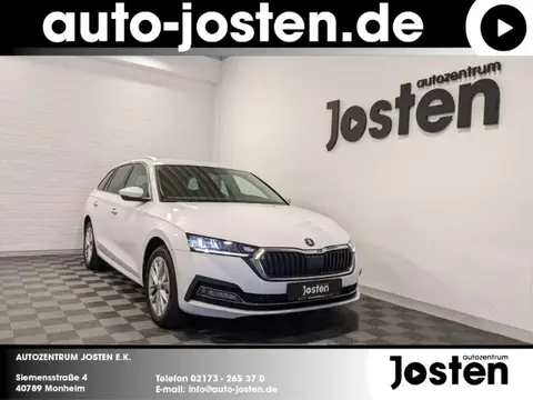 Used SKODA OCTAVIA Diesel 2024 Ad 