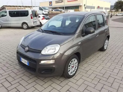 Used FIAT PANDA Hybrid 2021 Ad 