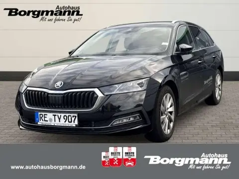 Used SKODA OCTAVIA Diesel 2024 Ad 