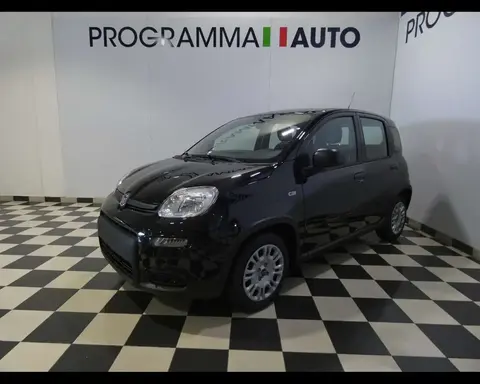 Used FIAT PANDA Hybrid 2024 Ad 