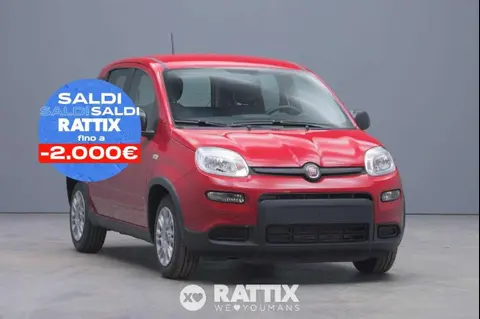 Used FIAT PANDA Hybrid 2024 Ad 