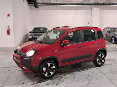 Used FIAT PANDA Hybrid 2024 Ad 