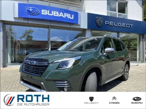 Annonce SUBARU FORESTER Essence 2024 d'occasion 