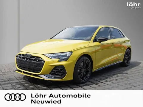 Annonce AUDI S3 Essence 2024 d'occasion 