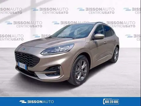 Used FORD KUGA Hybrid 2021 Ad 