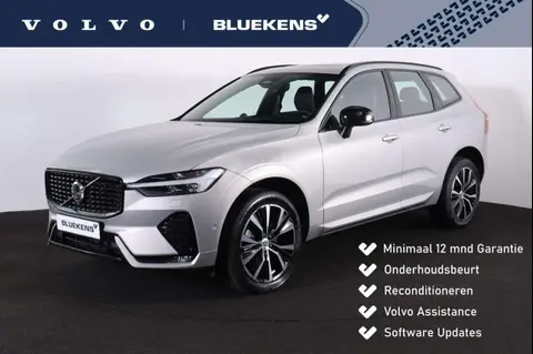 Used VOLVO XC60 Petrol 2023 Ad 