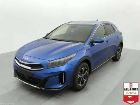 Used KIA CEED Hybrid 2024 Ad 